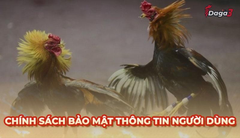 Chính sách bảo mật thông tin người dùng tại www.bancockfighting.org