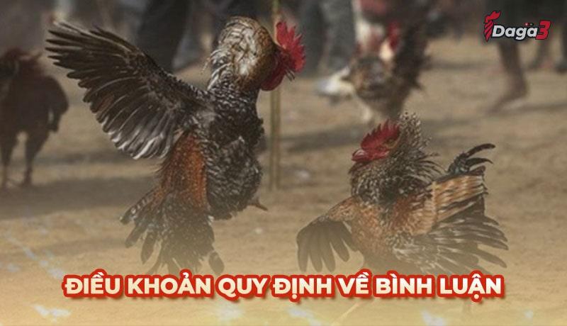 Người dùng cần tuân thủ một số điều khoản khi bình luận trên www.bancockfighting.org