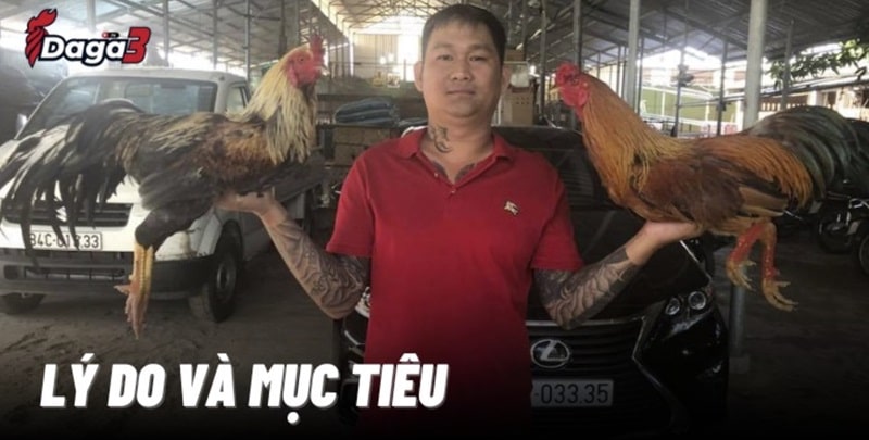 Mít Trà Cú sáng lập trang đá gà trực tiếp www.bancockfighting.org